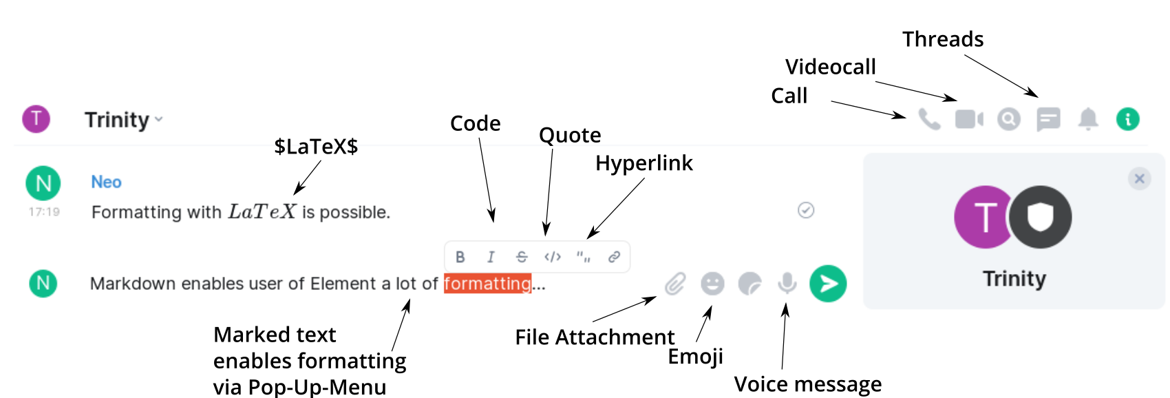 Explanation of the symbols in the Element text input line